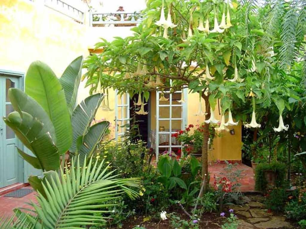 Bed and Breakfast Dar Beldi Уалидия Экстерьер фото